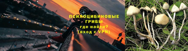 гашик Нефтегорск